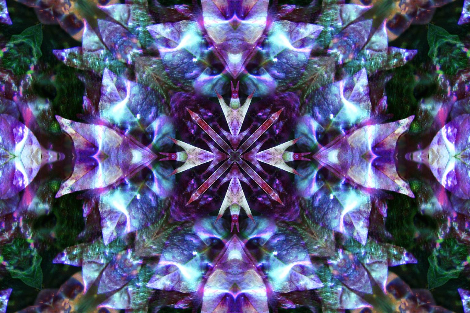 Kaleidoscope Logo